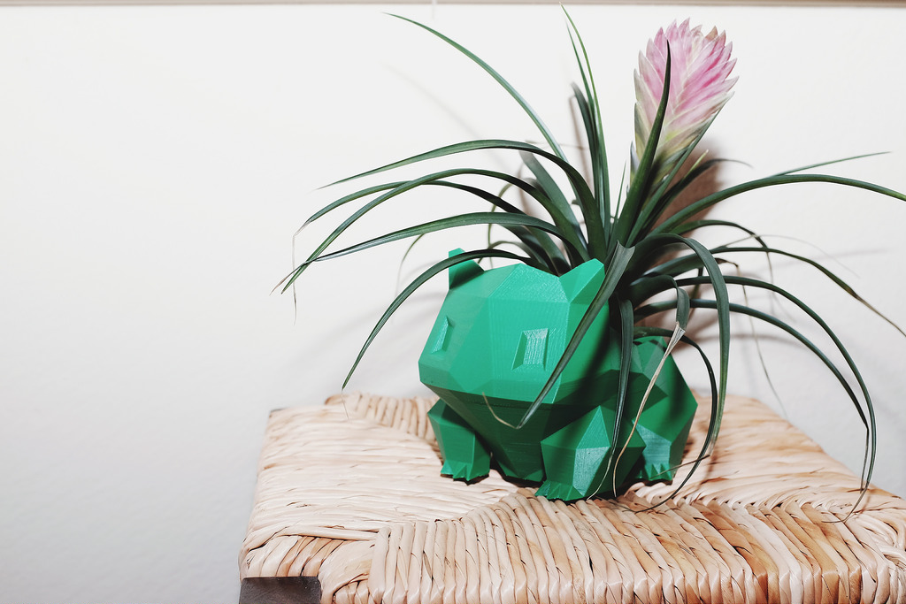 [DIY] Créer son pot de fleur Bio jardinage
