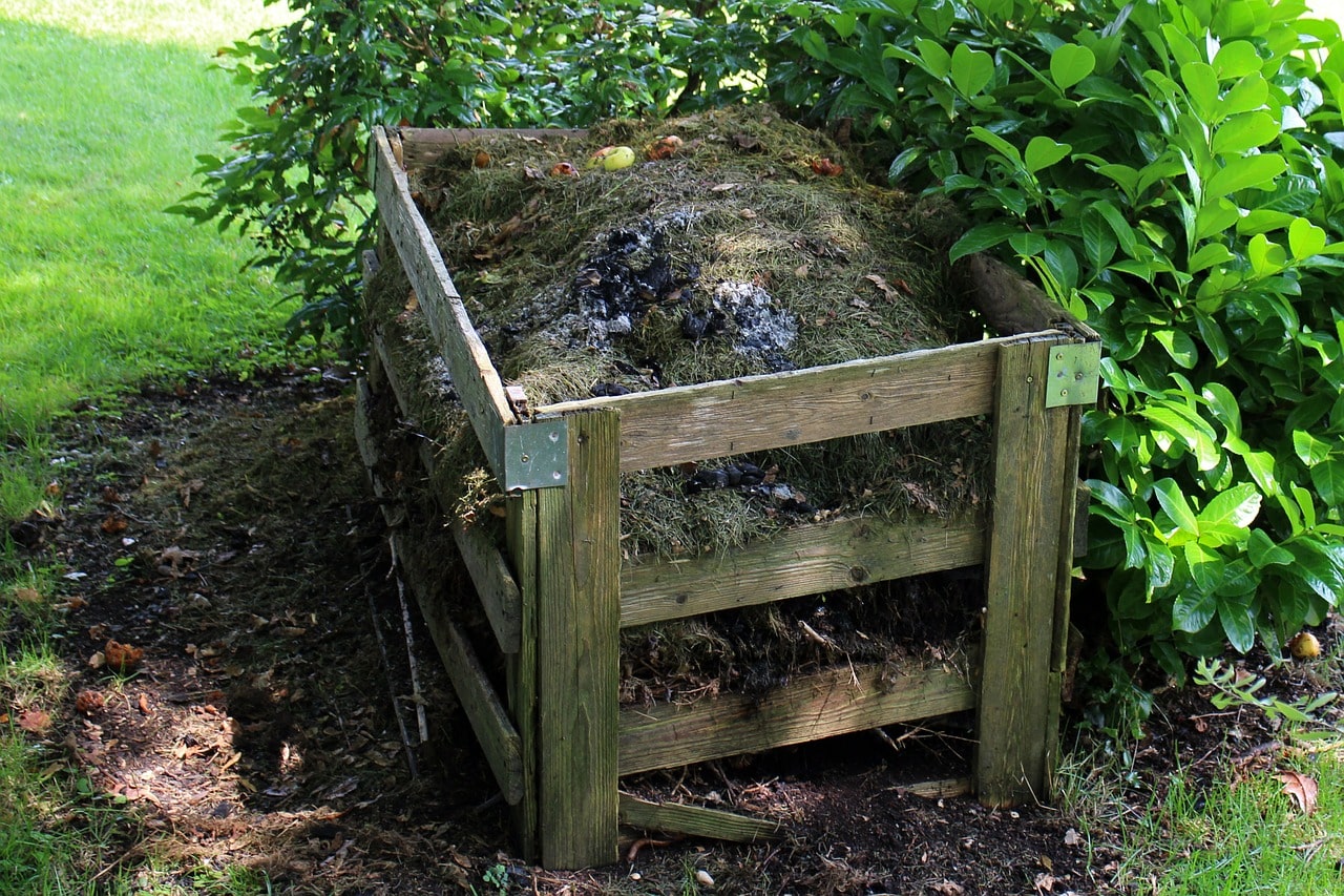 Le compost bio : partir du bon pied