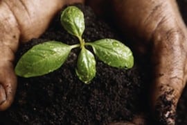 jardinage eco