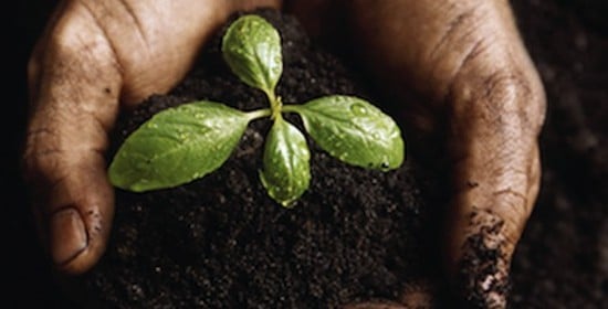 jardinage eco
