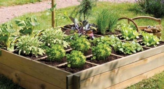 potager-bio-terrasse