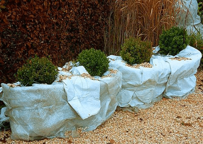 Film d'hivernage à bulles pour protéger les plantes contre le froid