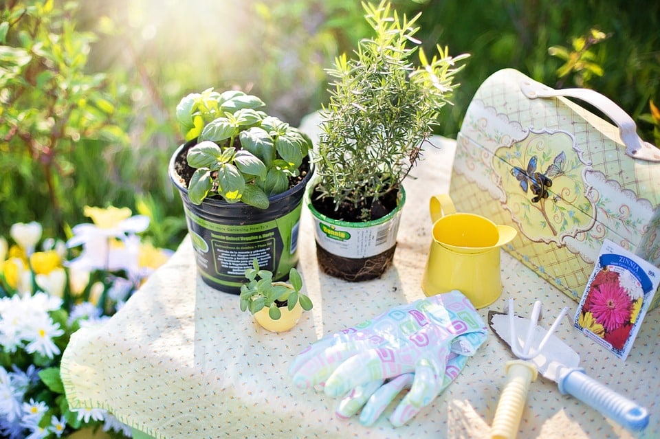 Outils de jardinage : bêche, griffe, gants, pots de fleurs