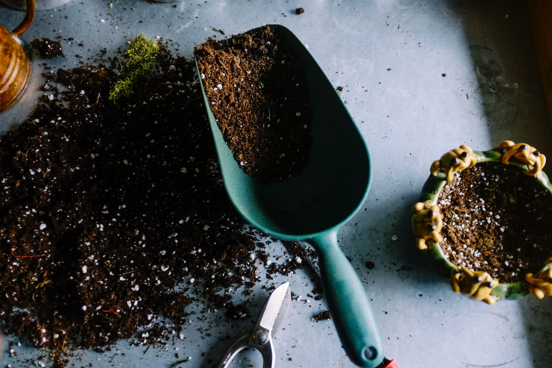 Comment utiliser le compost ?